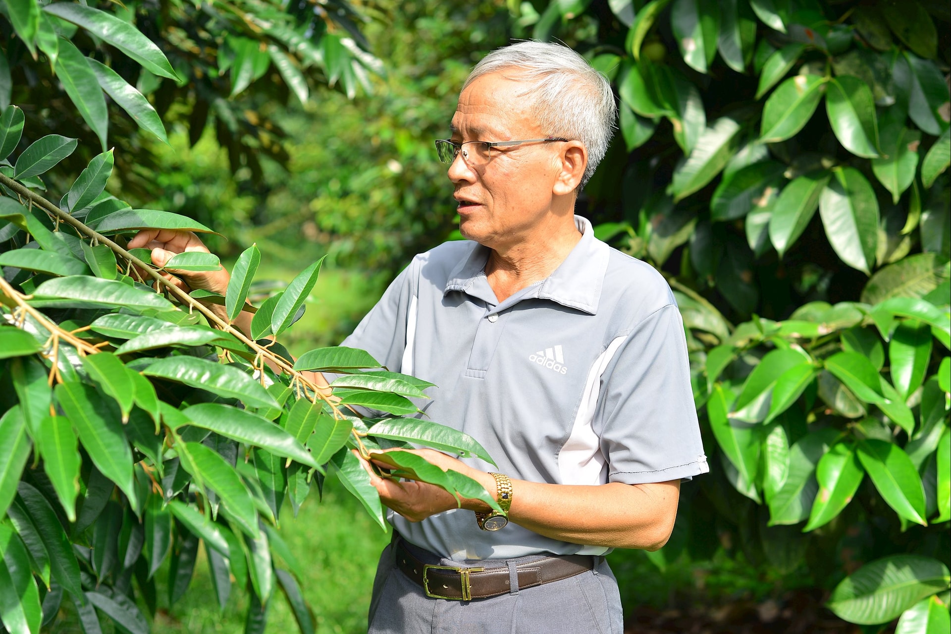 Lâm Đồng: Vùng của “vua” các loại trái cây Lâm Đồng: Vùng của “vua” các loại trái cây