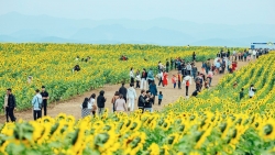 Khai thác du lịch mùa Đông ở miền Tây xứ Nghệ: Tiềm năng là chưa đủ