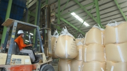 Những điểm sáng của PVChem trong năm 2025