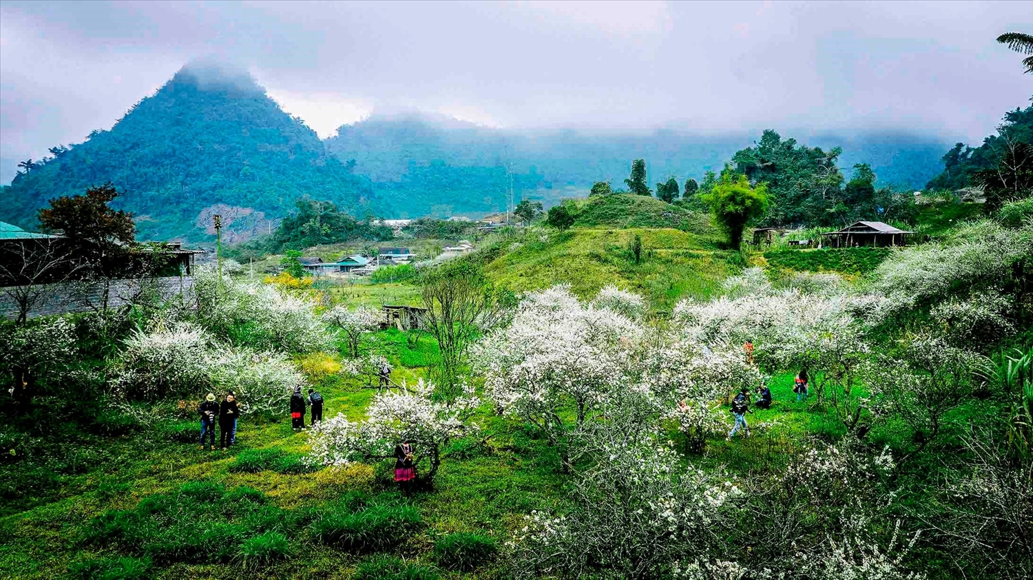 Khai thác du lịch mùa Đông ở miền Tây xứ Nghệ: Tiềm năng là chưa đủ Khai thác du lịch mùa Đông ở miền Tây xứ Nghệ: Tiềm năng là chưa đủ