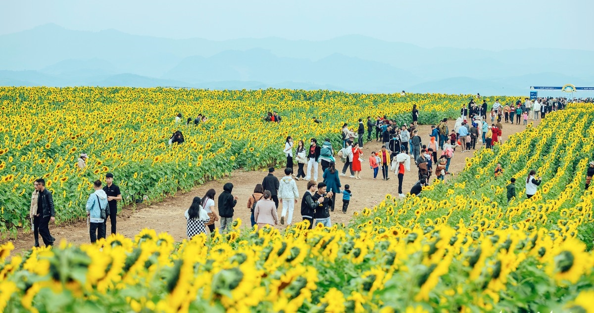 Khai thác du lịch mùa Đông ở miền Tây xứ Nghệ: Tiềm năng là chưa đủ Khai thác du lịch mùa Đông ở miền Tây xứ Nghệ: Tiềm năng là chưa đủ