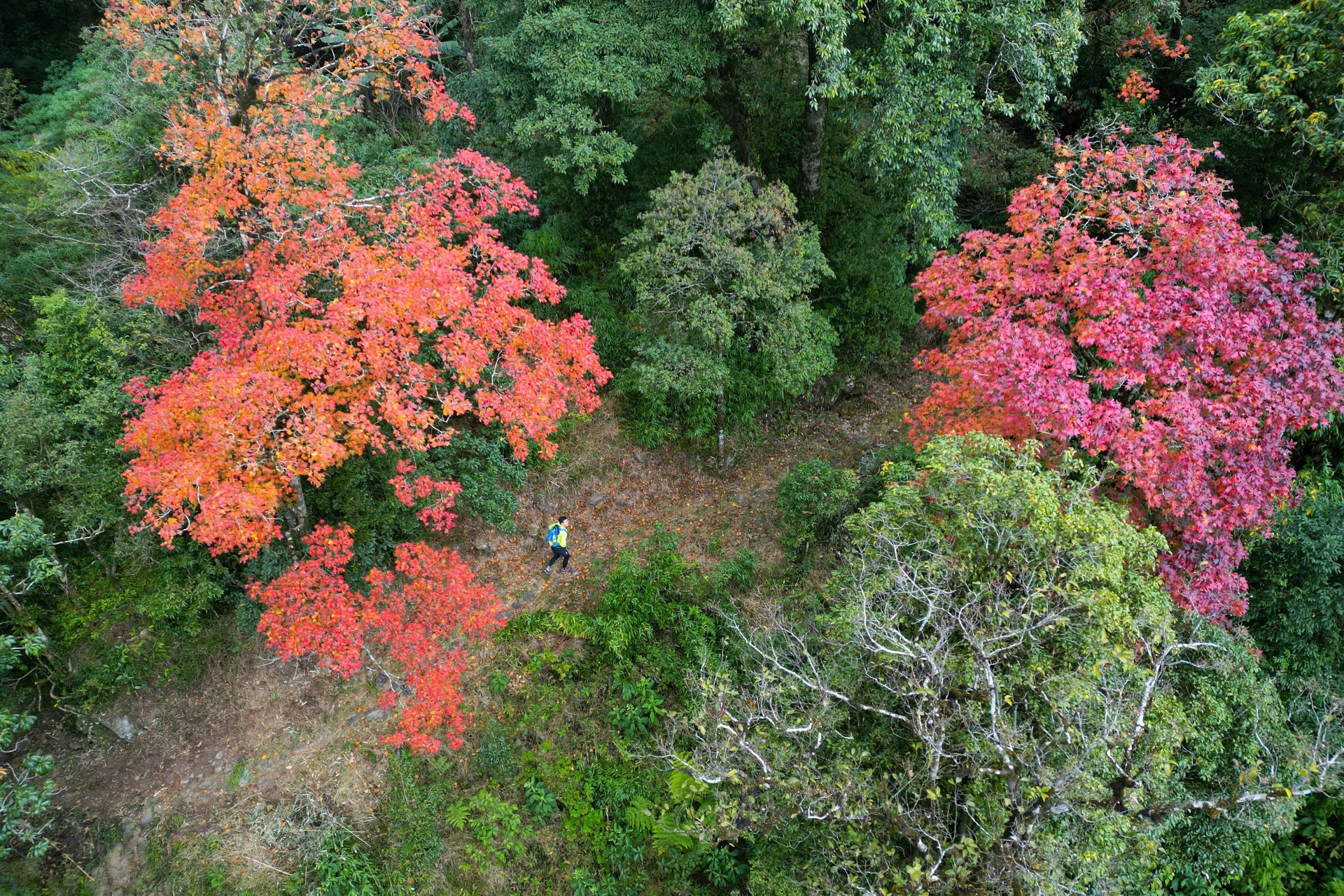 Lai Châu: Đường đá Pavi giữa đại ngàn