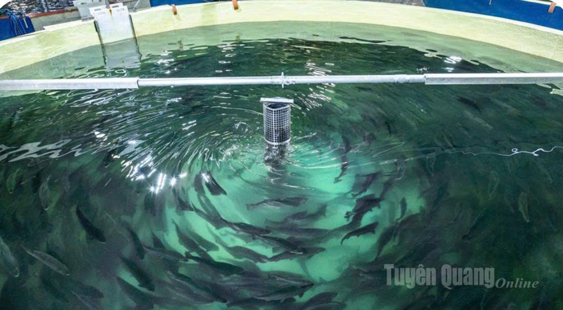 Tuyên Quang: Thác Tiên - Đèo Gió điểm đến di sản thiên nhiên cấp Quốc gia Tuyên Quang: Thác Tiên - Đèo Gió điểm đến di sản thiên nhiên cấp Quốc gia