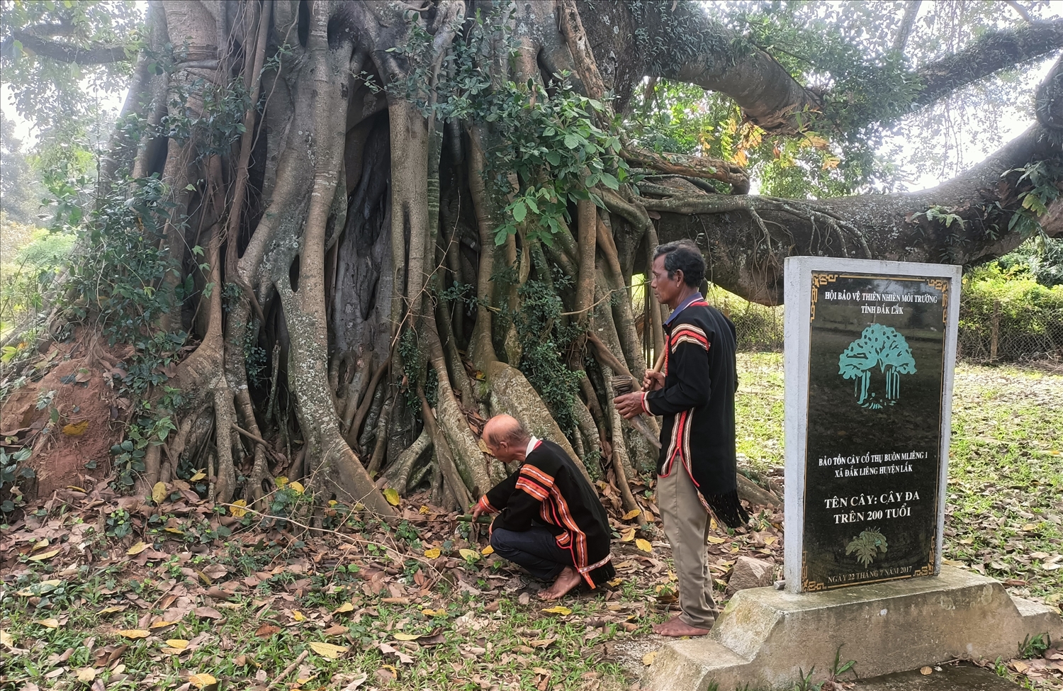 Phục dựng nghi lễ mừng thọ người Mnông Phục dựng nghi lễ mừng thọ người Mnông