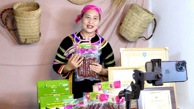 Tuyên Quang: Khi người trẻ quay về với nông nghiệp