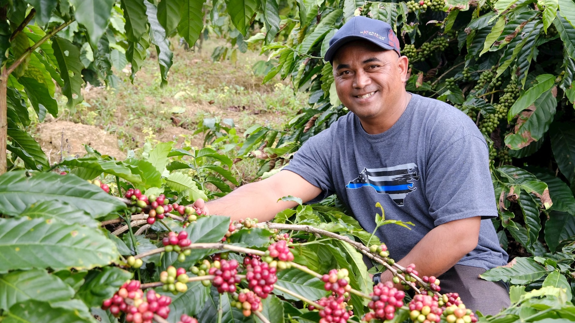 Lâm Đồng: Kinh tế đồng bào vùng Loan khởi sắc