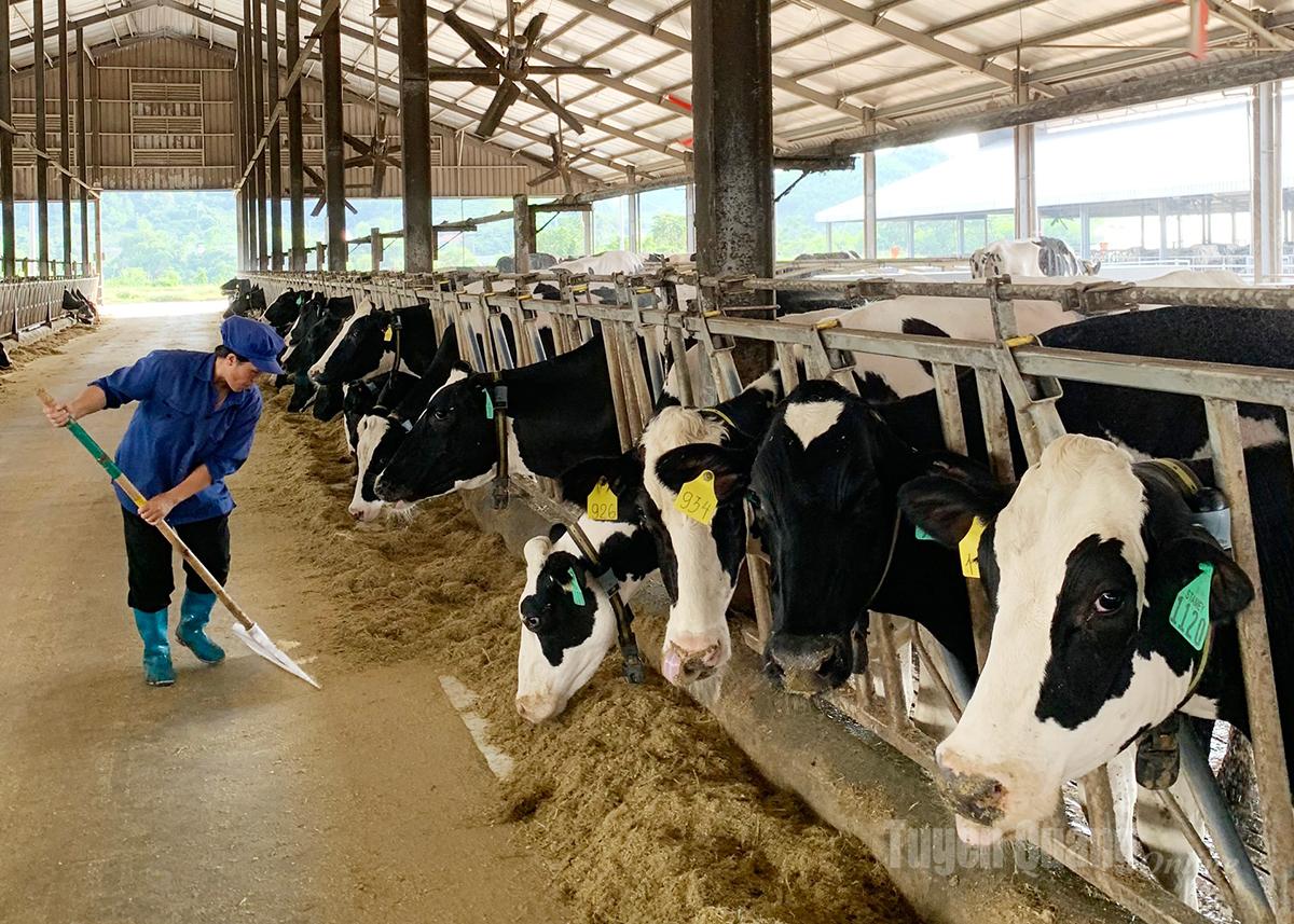 Tuyên Quang: “Vượt bão” thành công