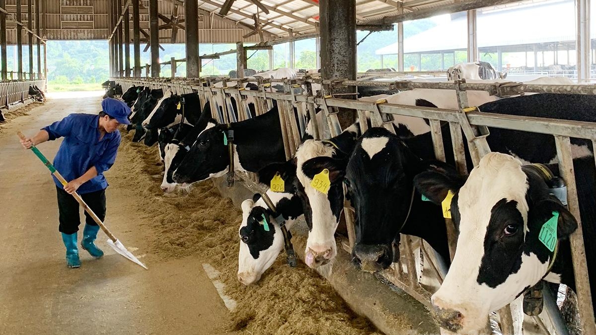 Tuyên Quang: “Vượt bão” thành công