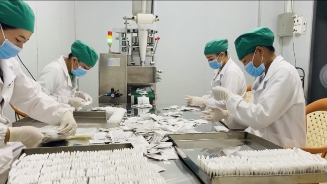 Khơi dậy tiềm năng dược liệu, tạo sinh kế bền vững cho đồng bào miền núi