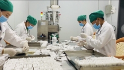 Khơi dậy tiềm năng dược liệu, tạo sinh kế bền vững cho đồng bào miền núi