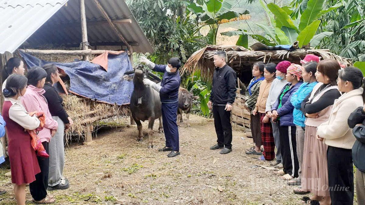 Tuyên Quang: Đồng hành xây dựng nông thôn mới
