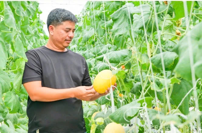 Khánh Hòa: Tiên phong trên vùng đất khó