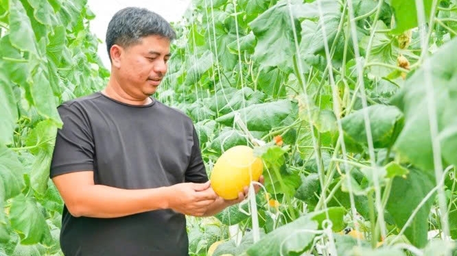 Khánh Hòa: Tiên phong trên vùng đất khó