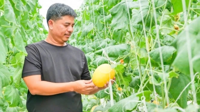 Khánh Hòa: Tiên phong trên vùng đất khó