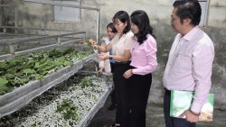 Lâm Đồng: Ninh Gia khơi dậy nội lực, thực hiện mục tiêu giảm nghèo bền vững