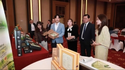 Thu hút vốn đầu tư Hàn Quốc tại tỉnh Tuyên Quang năm 2025