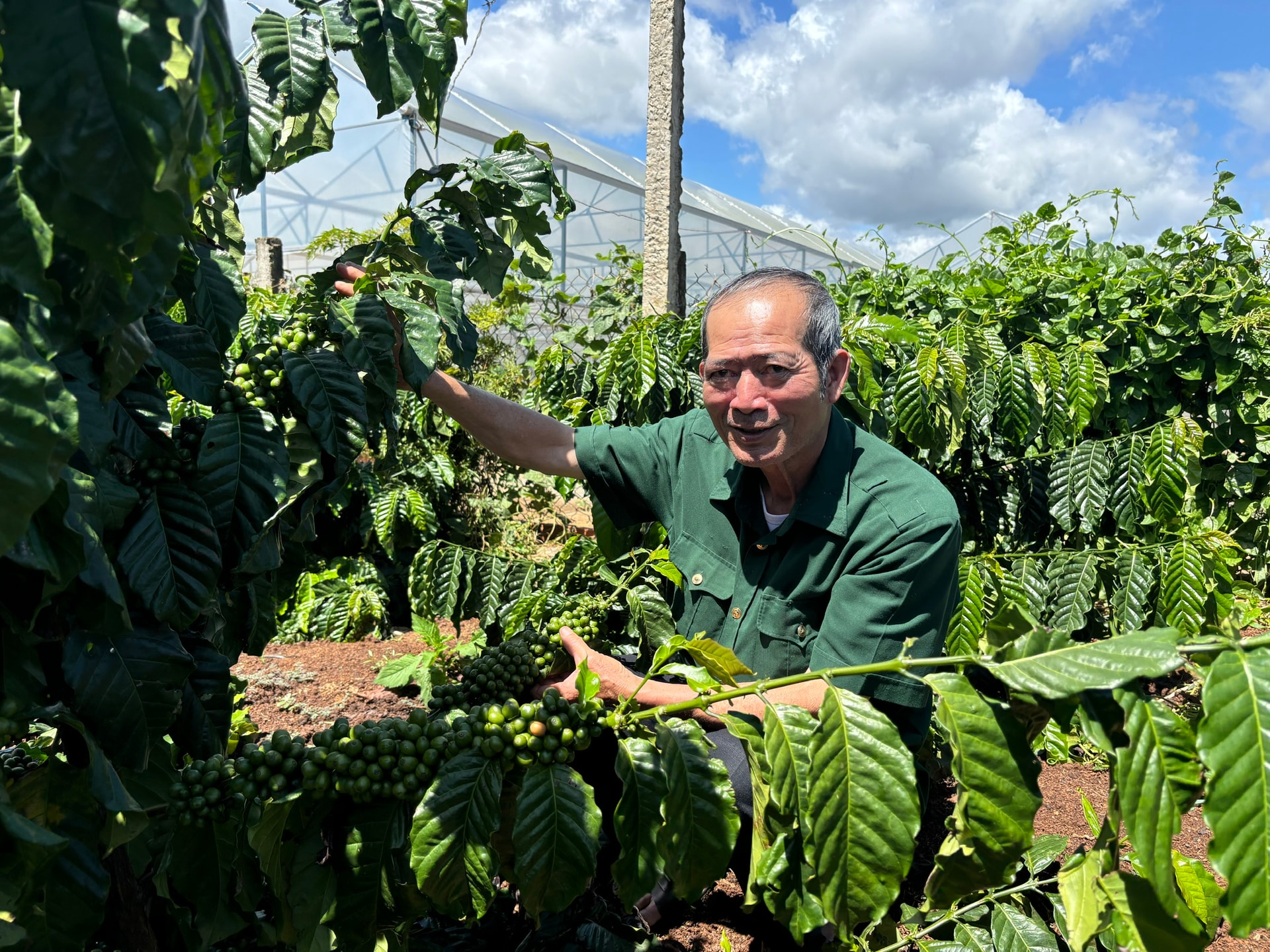 Lâm Đồng: Giữ màu xanh cho rừng