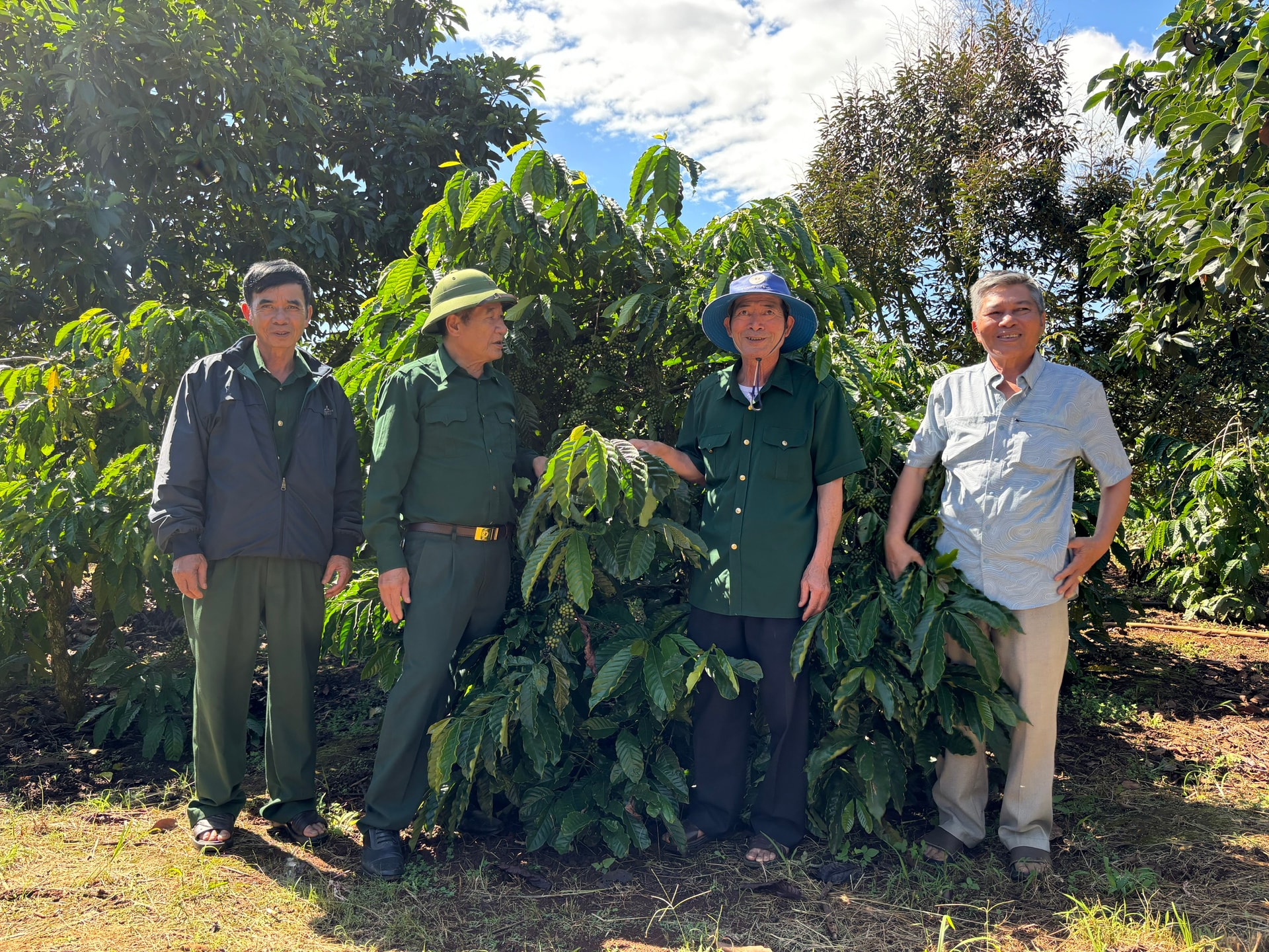 Lâm Đồng: Giữ màu xanh cho rừng