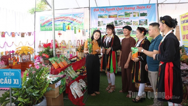 Tuyên Quang: “Trái ngọt” trên hành trình giảm nghèo ở Sơn Thủy