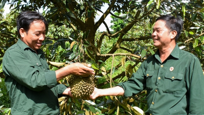 Lâm Đồng: Cựu chiến binh giúp nhau giảm nghèo bền vững