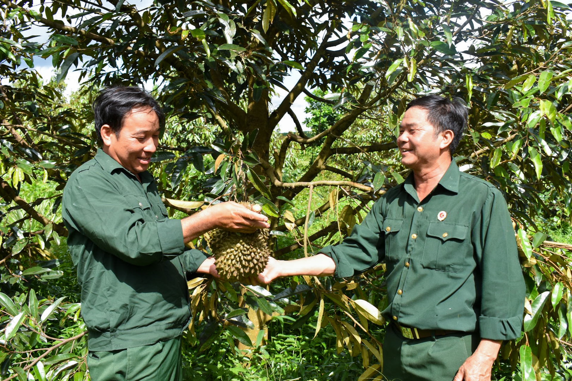 Lâm Đồng: Cựu chiến binh giúp nhau giảm nghèo bền vững Lâm Đồng: Cựu chiến binh giúp nhau giảm nghèo bền vững