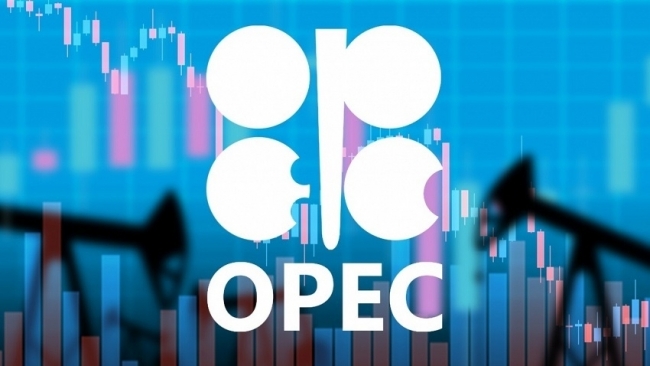 OPEC tự tin có thể giành lại thị phần dầu mỏ ở Ấn Độ
