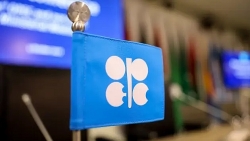 OPEC đề cao tiềm năng hợp tác với "điểm nóng" Namibia