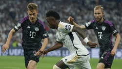 Không cản nổi “Hùm Xám”