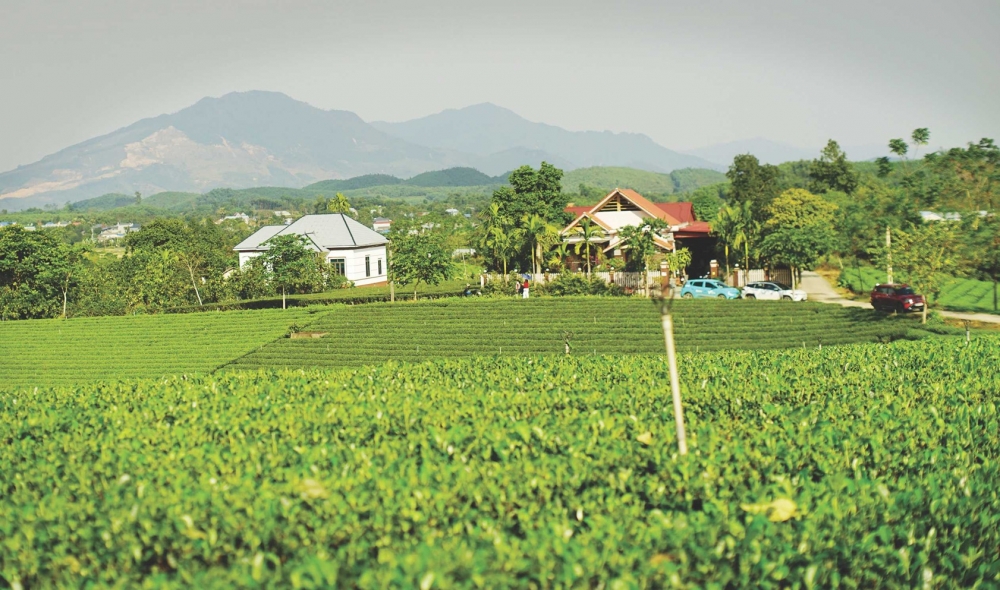 Đến Thái Nguyên, du khách dễ dàng bắt gặp những đồi chè trù phú, cùng cuộc sống thanh bình của người dân.