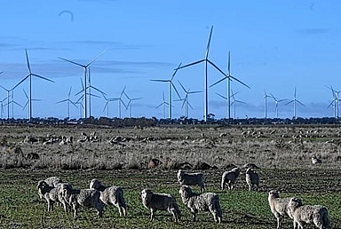 Australia sắp có trang trại điện gió lớn nhất Nam bán cầu