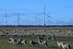 Australia sắp có trang trại điện gió lớn nhất Nam bán cầu