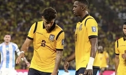 Hồ sơ Ecuador tại World Cup 2026: Hàng thủ thép và tham vọng 'ngựa ô' của Sebastian Beccacece