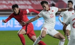 Phân tích bảng đấu tuyển Việt Nam tại Asian Cup 2027: Đối đầu 'ngọn núi' Hàn Quốc