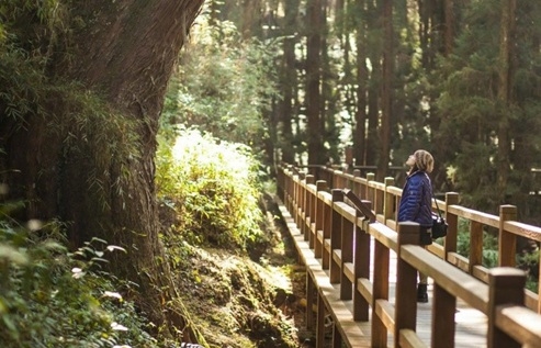 Ảnh: Taiwan Tourism Administration