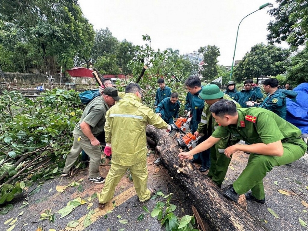 Chung tay cùng Hà Nội khắc phục cây đổ và cành gãy