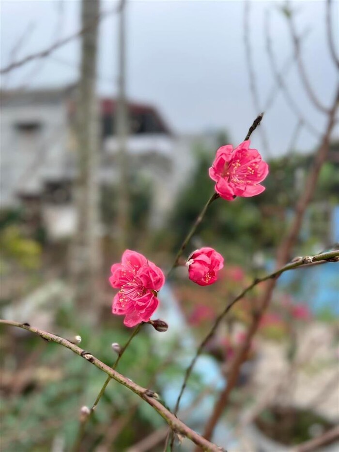 Hoa hậu Ngọc Hân hiếm hoi khoe cơ ngơi nhà chồng sắp cưới, gia thế 'không phải dạng vừa đâu'