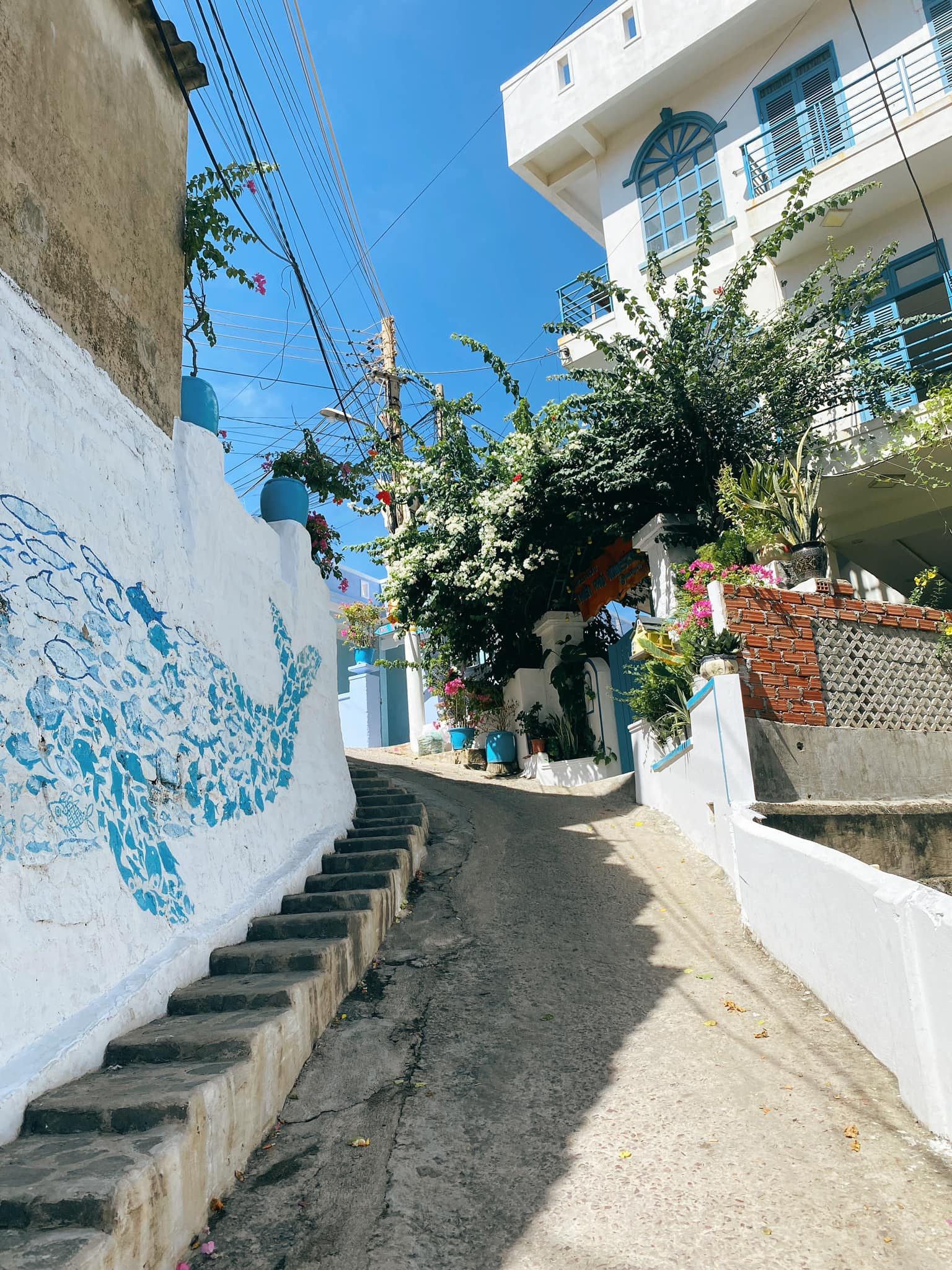 Mê đắm làng chài Nhơn Lý tựa như "Santorini thu nhỏ" Mê đắm làng chài Nhơn Lý tựa như "Santorini thu nhỏ"