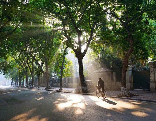 Thời tiết hôm nay 4/2: Bắc Bộ rét về đêm và sáng sớm, trưa chiều hửng nắng