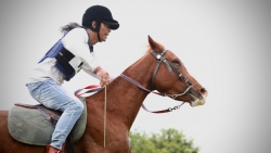 Vó ngựa Lang Biang: Câu chuyện bảo tồn di sản sống