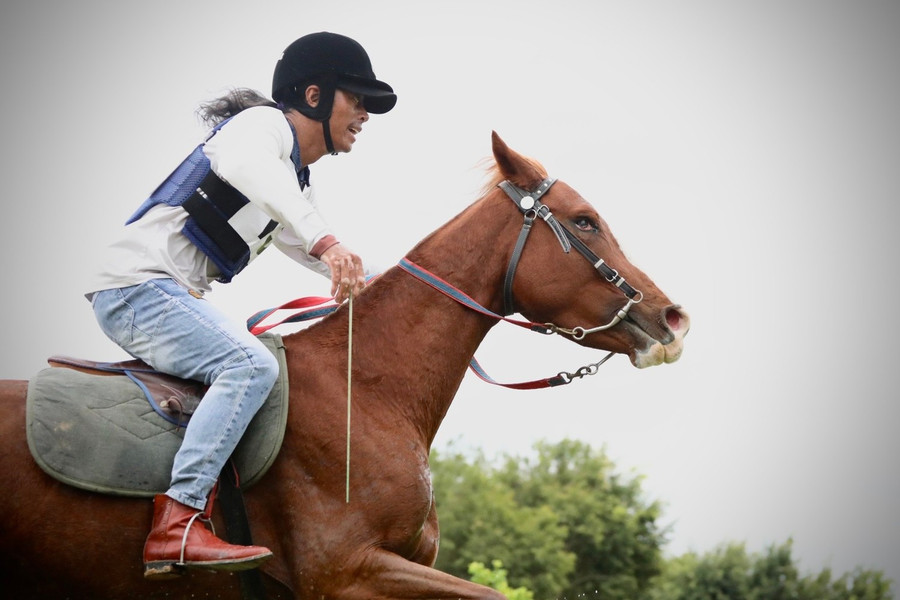 Vó ngựa Lang Biang: Câu chuyện bảo tồn di sản sống
