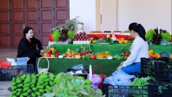 Lâm Đồng đẩy mạnh xúc tiến thương mại sản phẩm OCOP