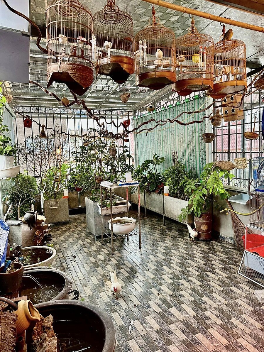 Nghệ sĩ Anh Tuấn và Nguyệt Hằng kỷ niệm 30 năm ngày cưới: Từ nợ nần đến tổ ấm viên mãn Nghệ sĩ Anh Tuấn và Nguyệt Hằng kỷ niệm 30 năm ngày cưới: Từ nợ nần đến tổ ấm viên mãn