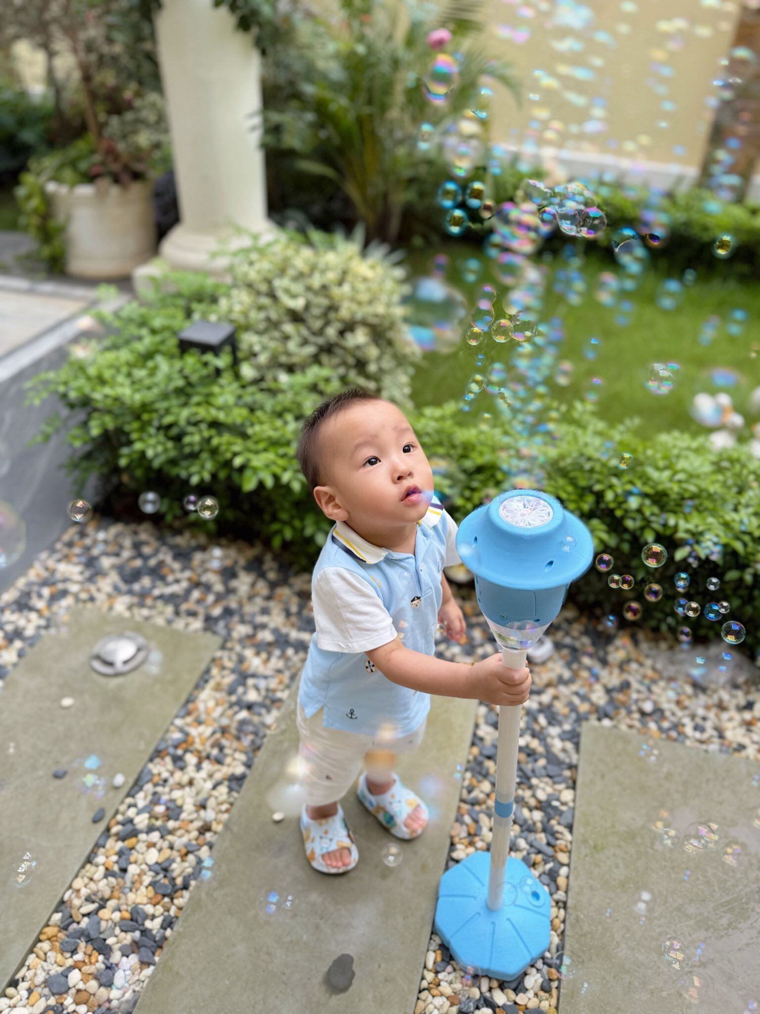 Cặp song sinh nhà Phương Oanh gây chú ý với khoảnh khắc anh trai Jimmy bảo vệ em gái