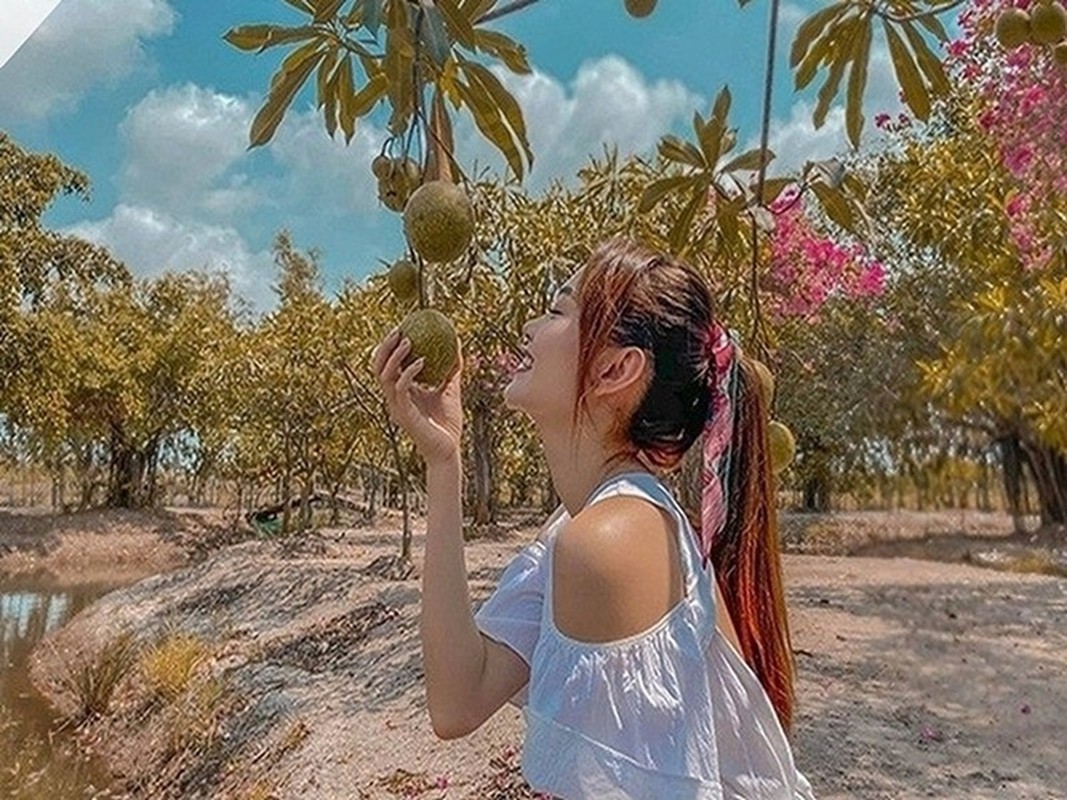 Cuộc sống giàu sang của nhóm "Gia đình văn hóa"