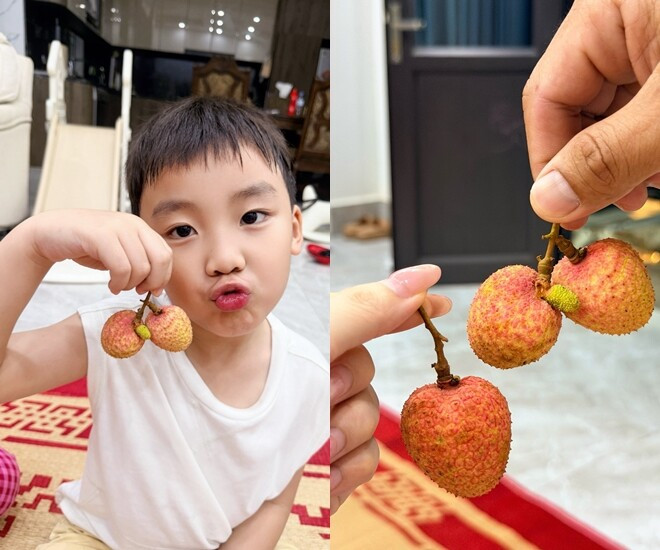 Hòa Minzy khoe con trai làm mẫu nhí bán vải tại Bắc Ninh và tin tức sao Việt ngày 24h