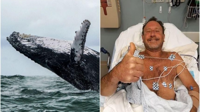 Người đàn ông bị hút vào miệng cá voi nhưng vẫn sống sót trở về