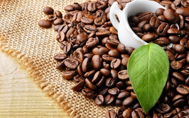Giá cà phê hôm nay 20/6: Trong nước vẫn tăng giữa bối cảnh cà phê thế giới suy giảm