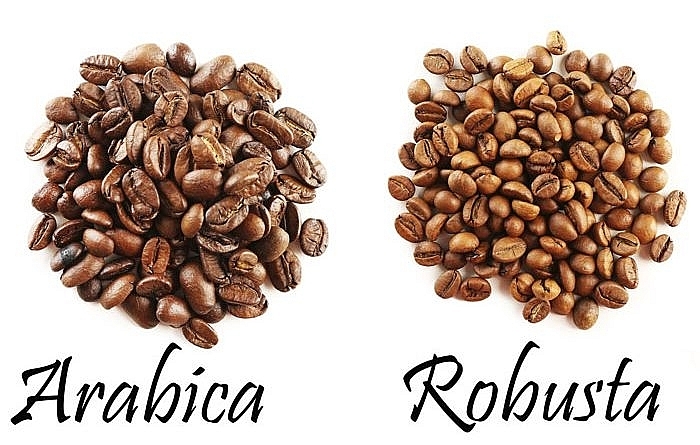 Giá cà phê hôm nay 1/7: Robusta tăng mạnh vượt ngưỡng 1.700 USD; Rủi ro từ lực chốt lời