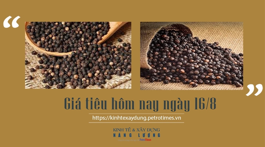 Giá tiêu hôm nay ngày 16/8: Diễn biến ổn định