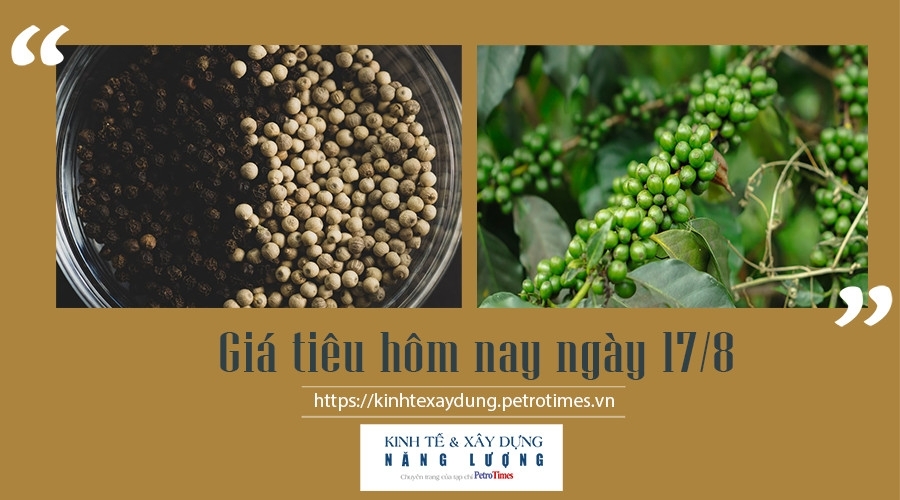 Giá tiêu hôm nay ngày 17/8: Giao dịch ổn định